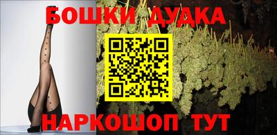 гашик Гай