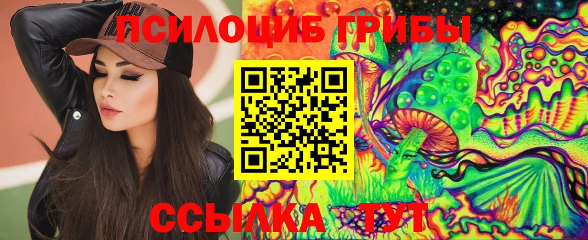 Малоярославец  Псилоцибиновые грибы Psilocybine cubensis  Галлюциногенные грибы GOLDEN TEACHER  Вход с VPN 